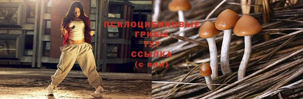 гашик Армянск