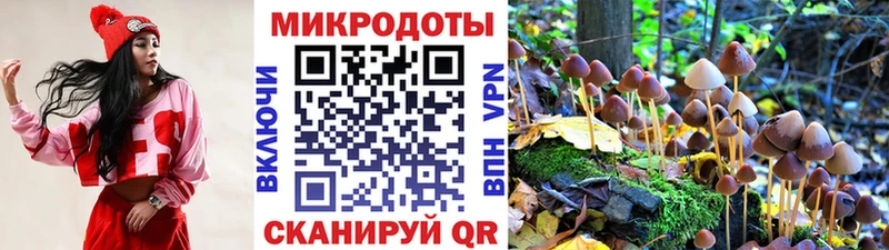 Галлюциногенные грибы Psilocybine cubensis дарк нет клад Ряжск KRAKEN онион